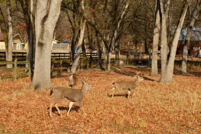 DSC_5845 (Large).JPG